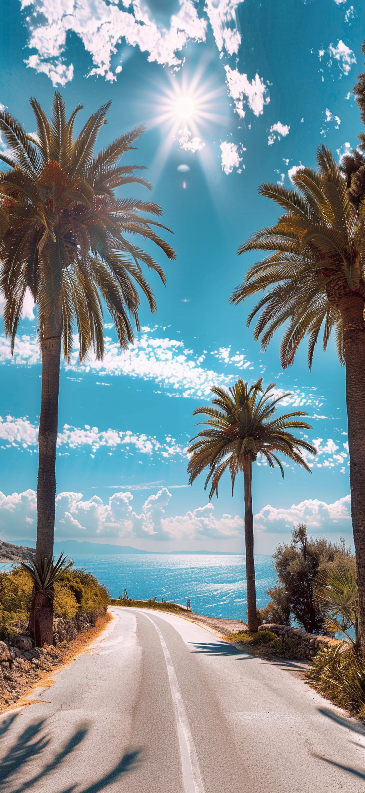 palm-lined coastal road