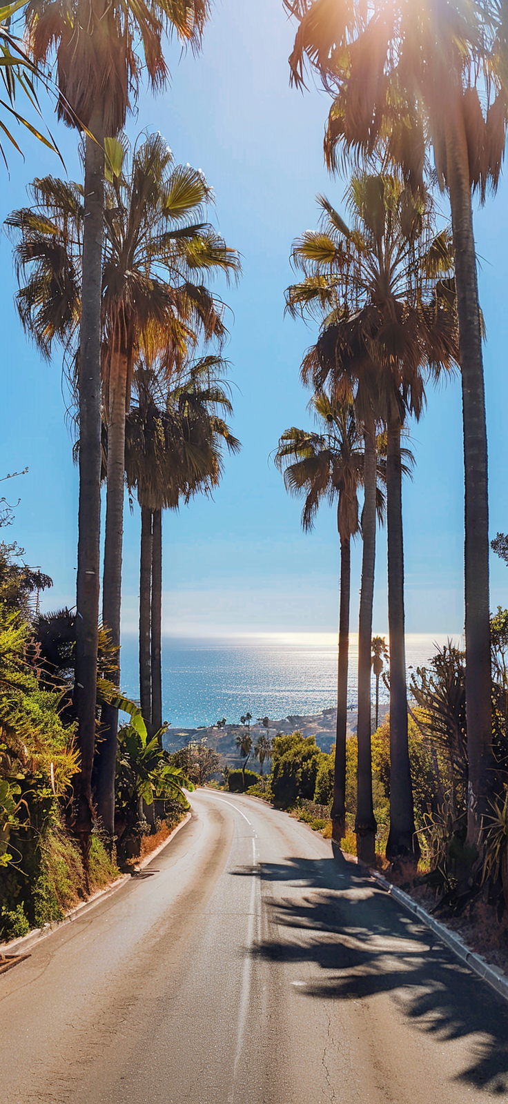 palm-lined coastal road
