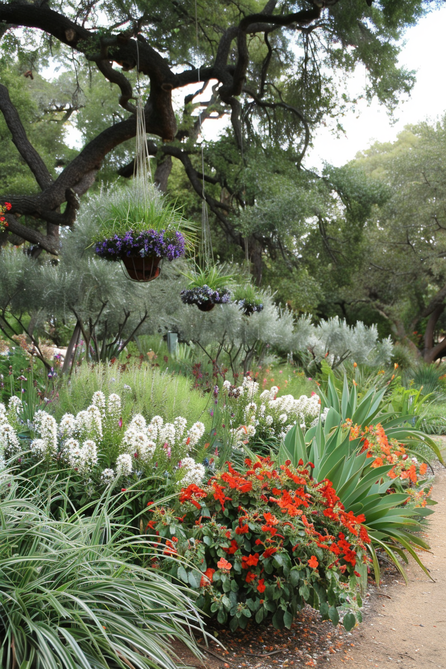 Hibiscus and agave providing color and texture in a Mediterranean yard