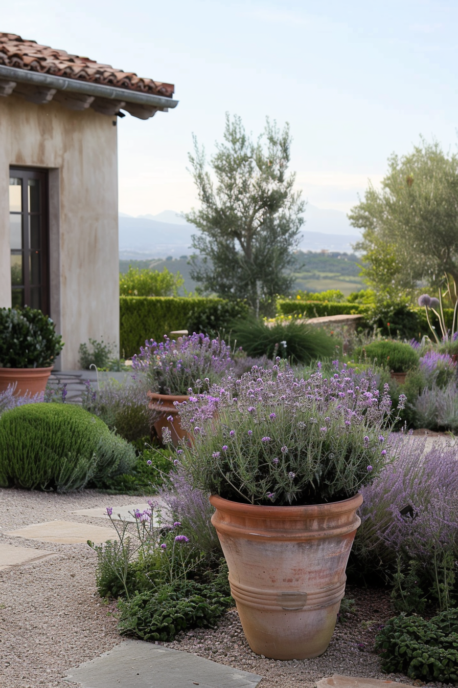 Gravel paths and terracotta pots in a Mediterranean yard