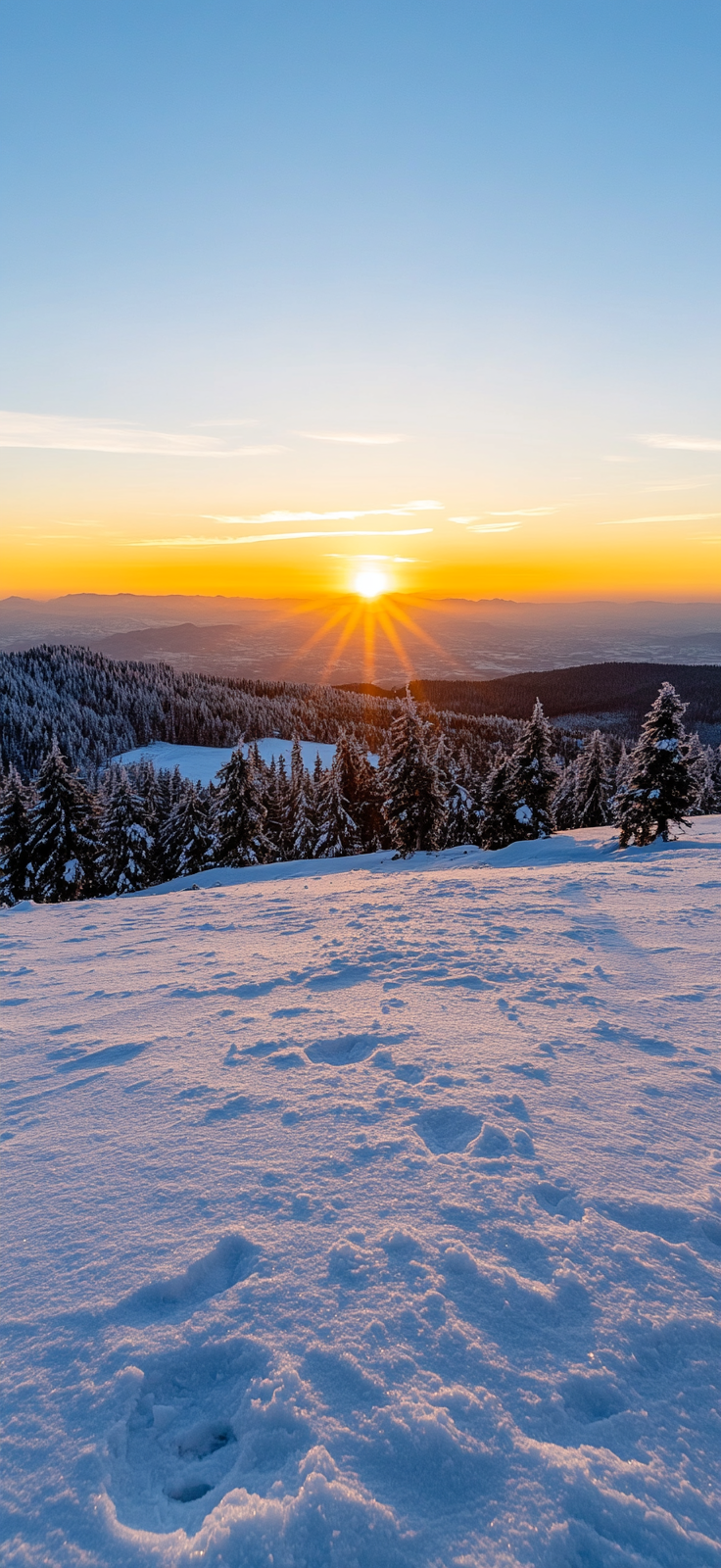 winter sunrise over snowy field