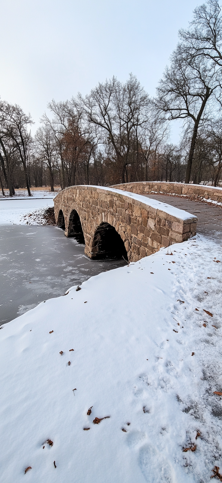 elegant snow-covered bridge in winter landscape