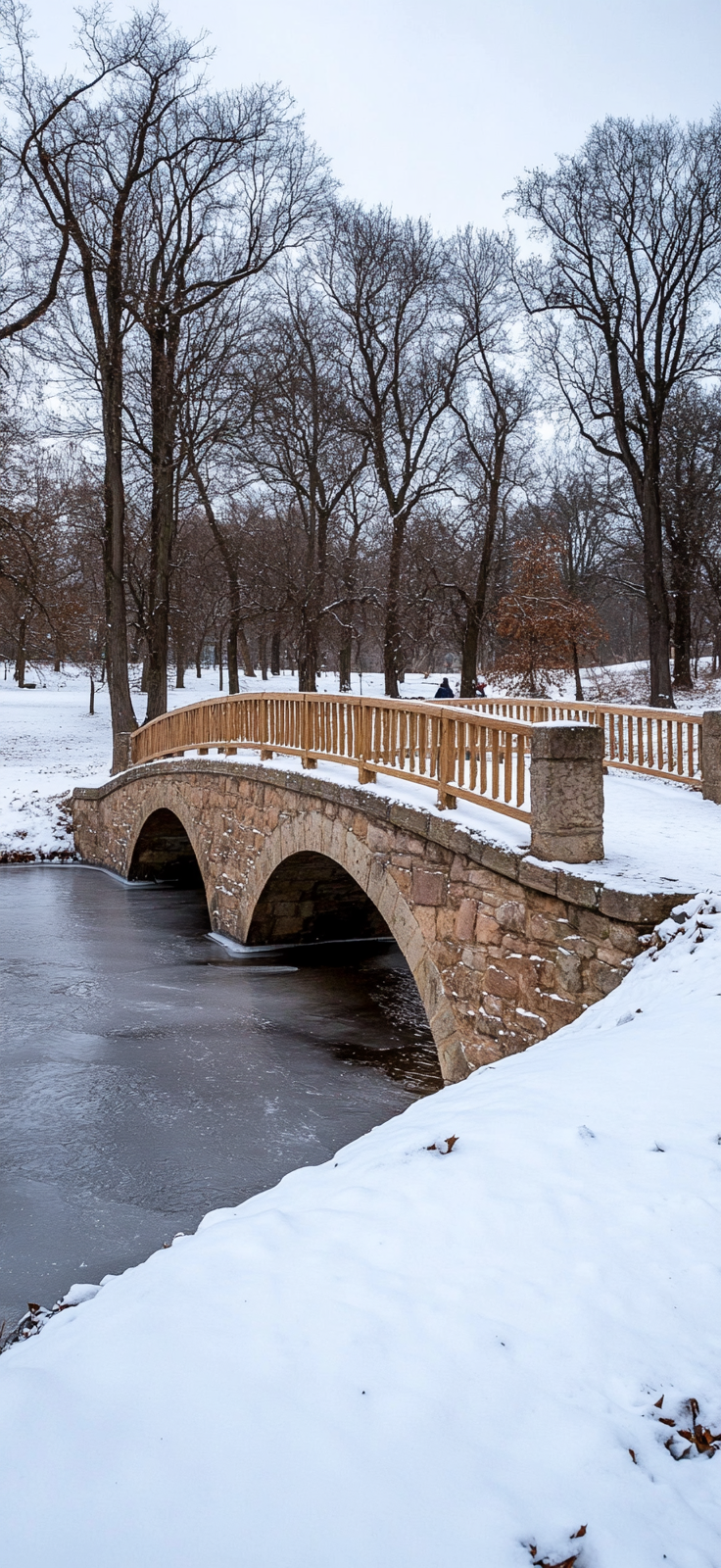 snowy bridge spanning frozen stream