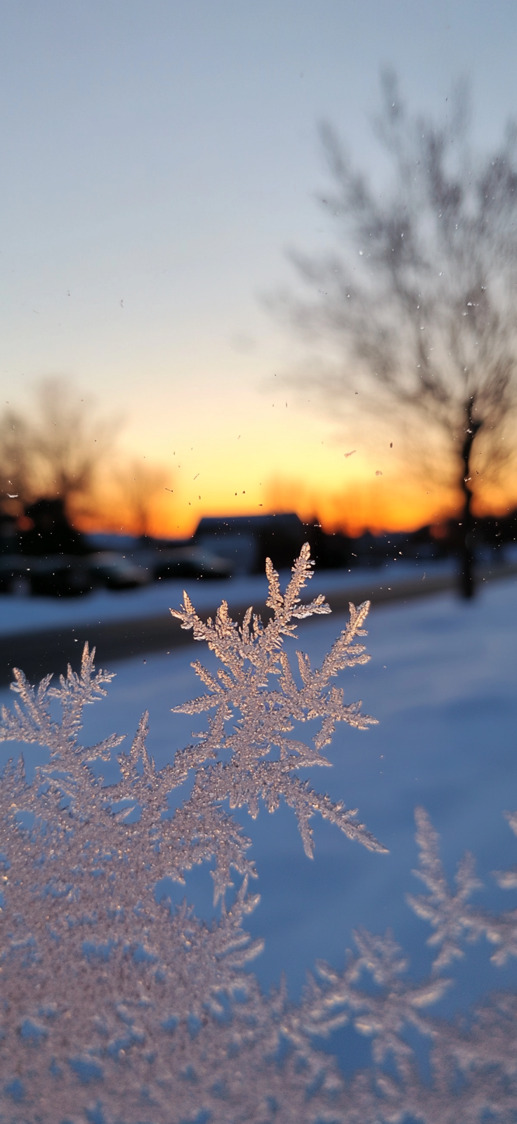 window covered in frosty ice patterns