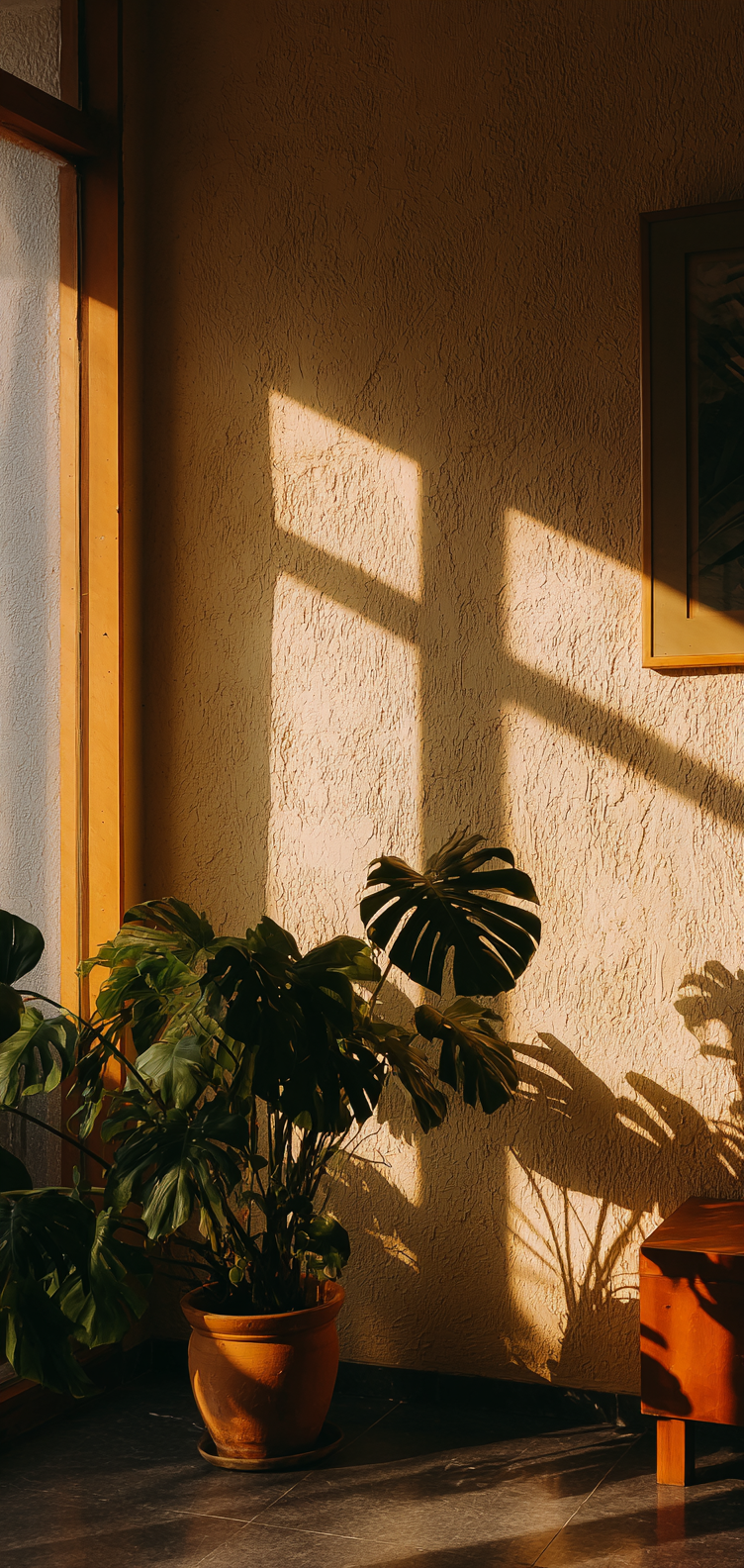 Tropical leaf silhouettes, sunlit texture