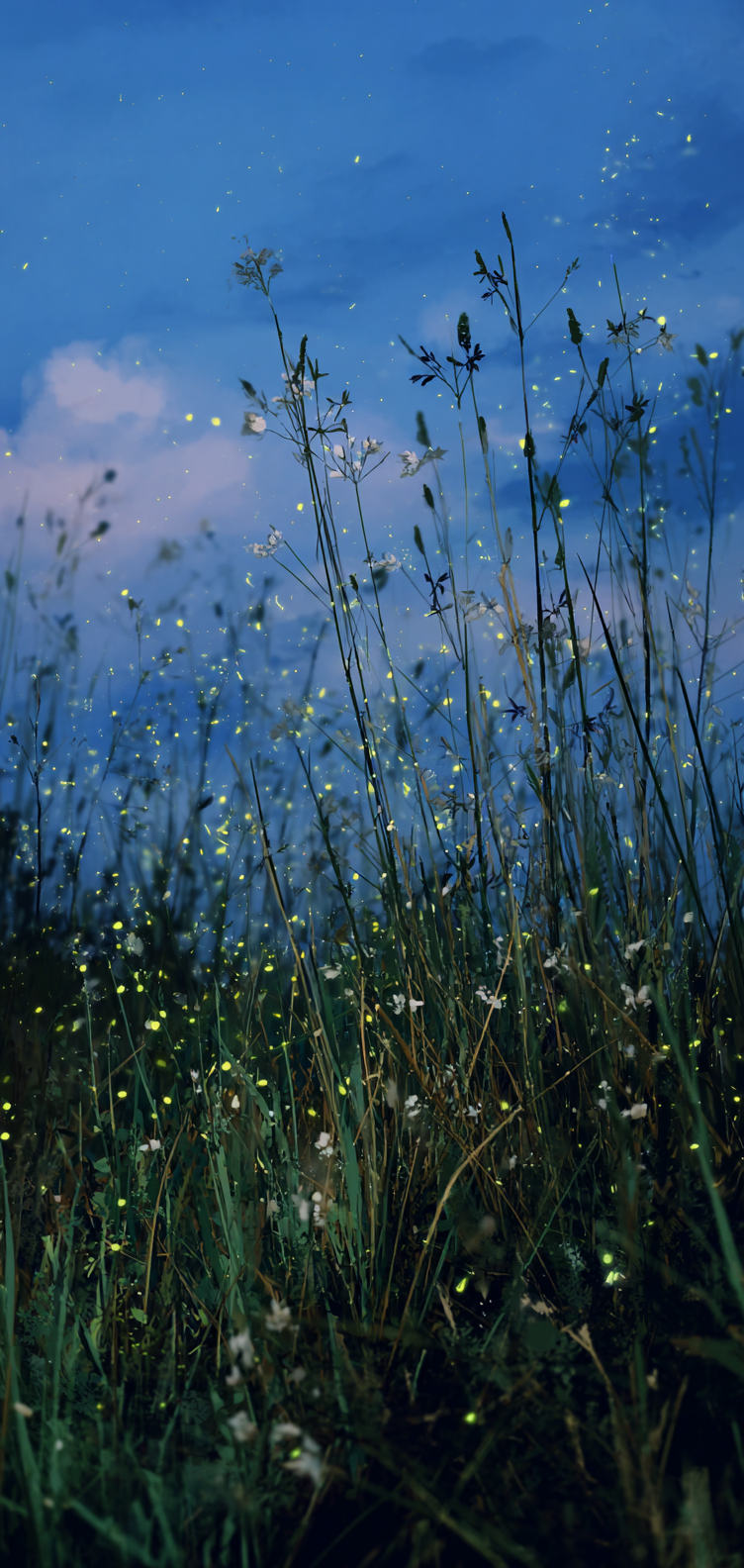 Magical meadow lights in soft focus