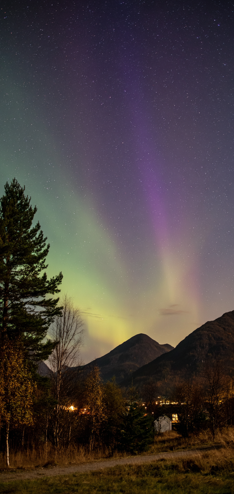 Green and purple aurora night sky scene