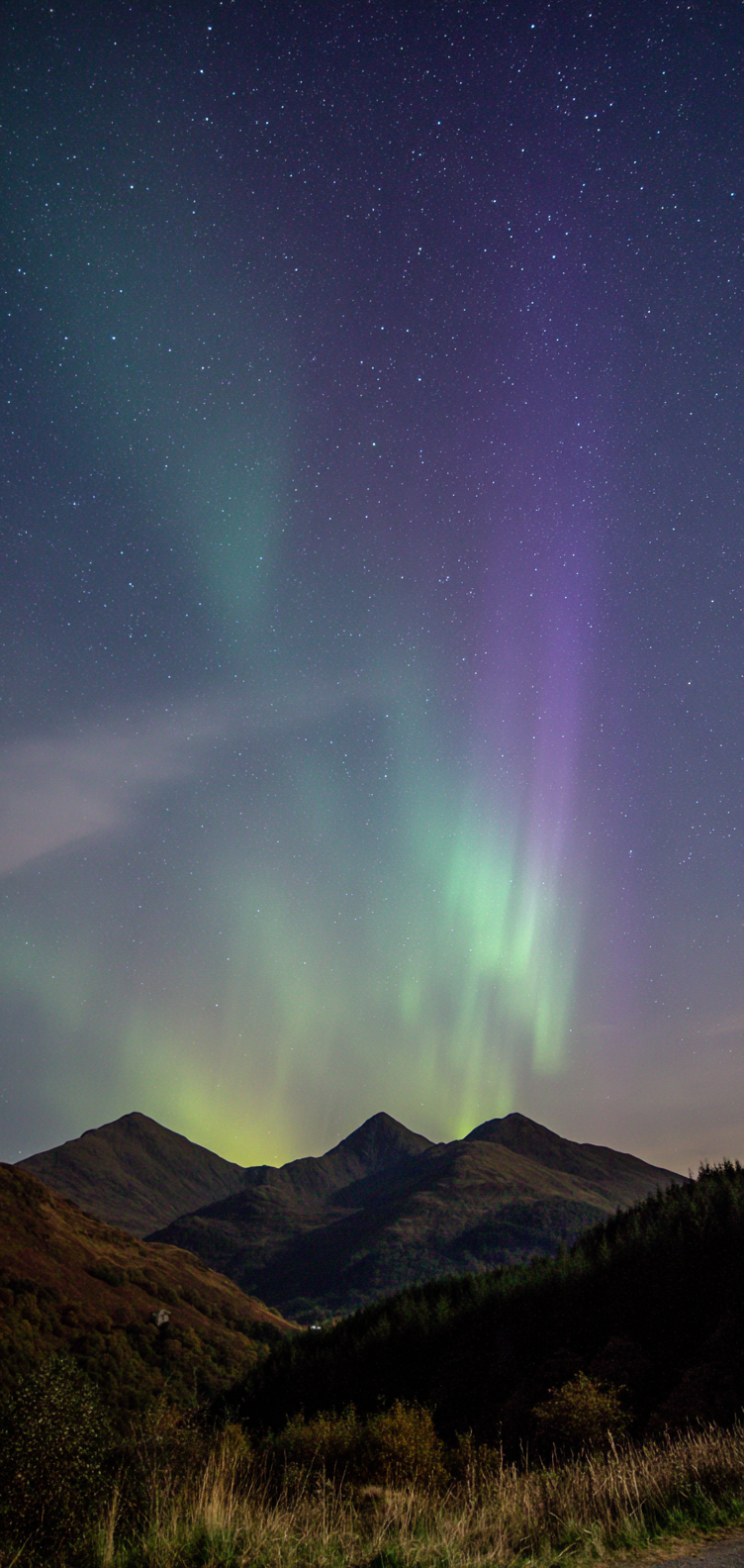 Starry aurora gradient backdrop