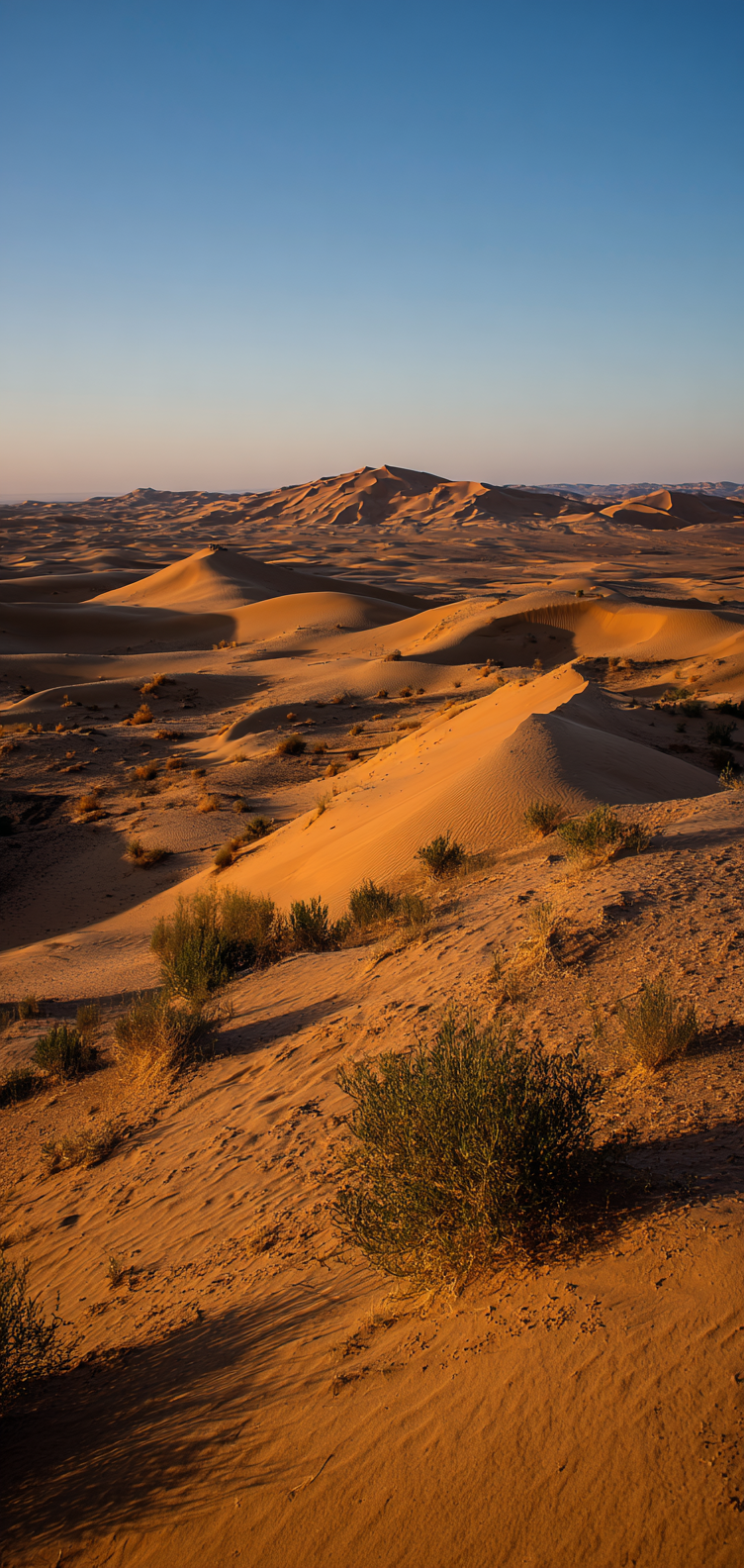 Golden desert dunes with soft curves
