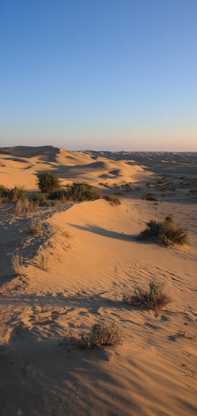 Minimal dune landscape under smooth sky