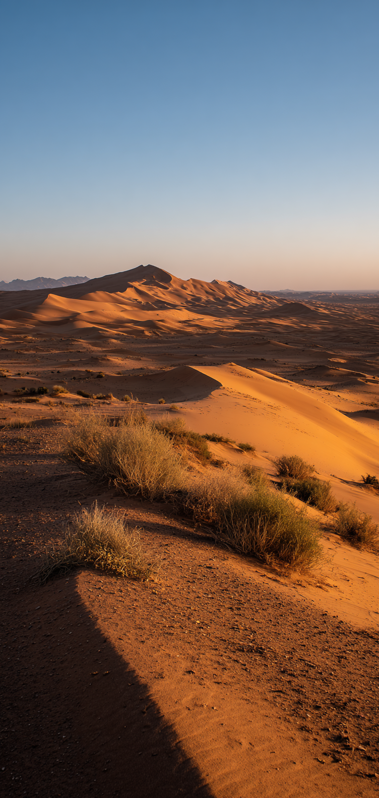 Desert curves with golden tones