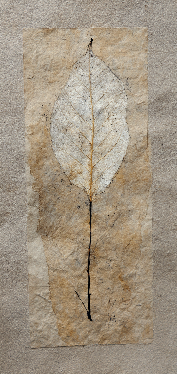 Botanical line art with gentle grain