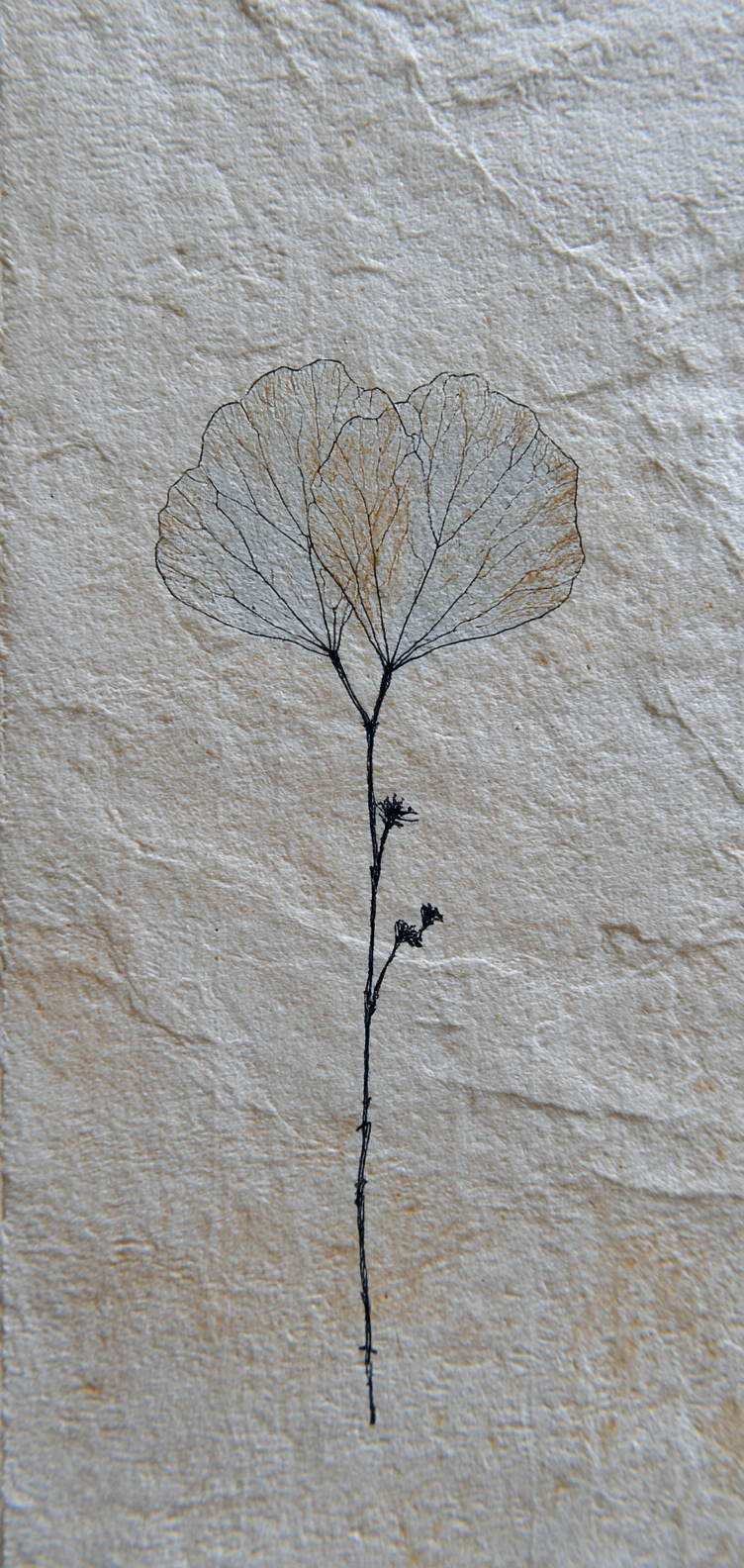 Elegant plant outline on neutral base